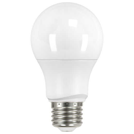 Light Bulbs & Accessories