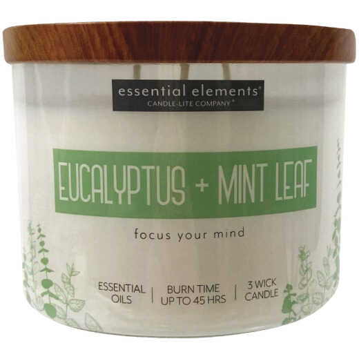 Candle-Lite Essential Elements 14.75 Oz. Eucalyptus & Mint Leaf Jar Candle with Lid